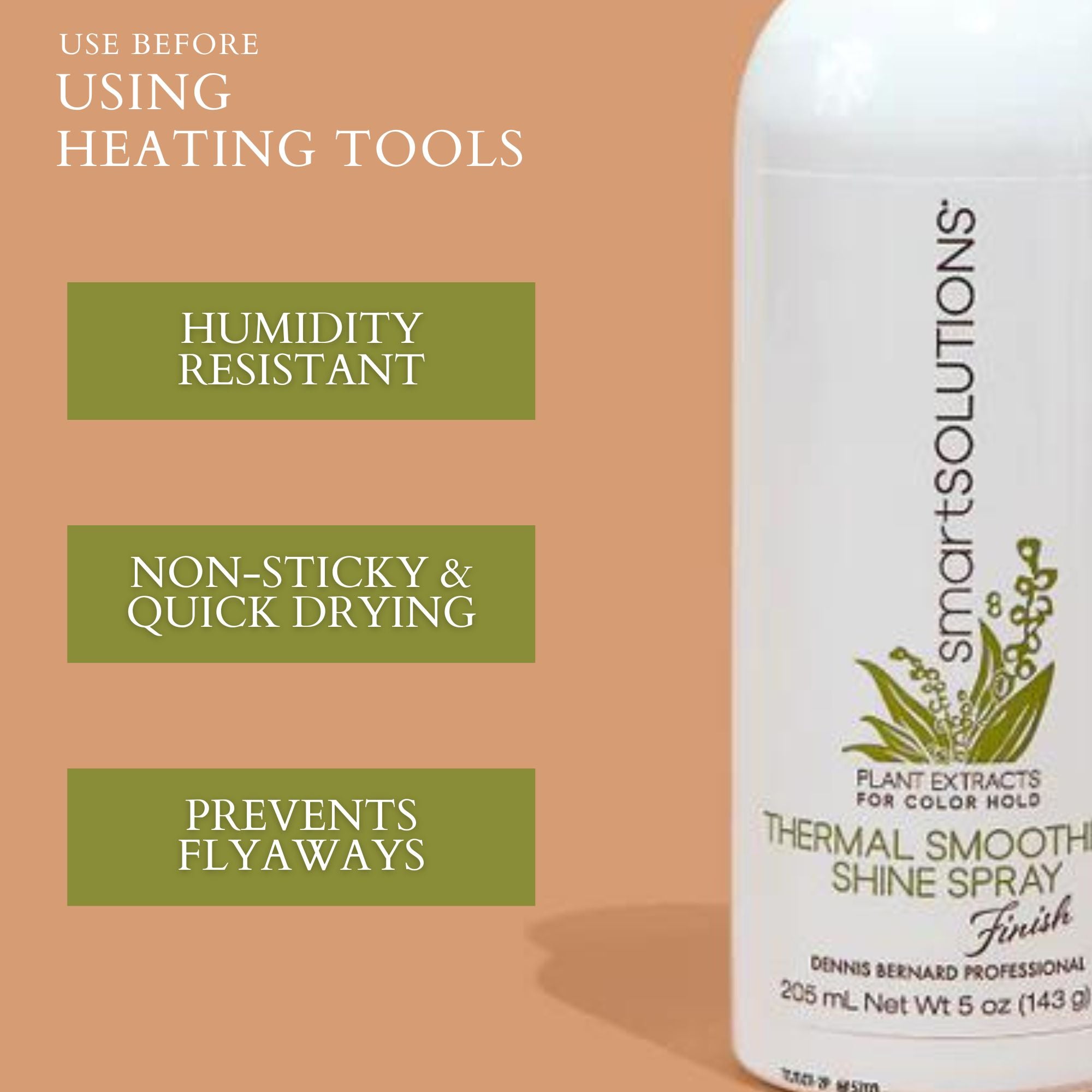 Thermal Smoothing Shine Spray - Dennis Bernard Professional