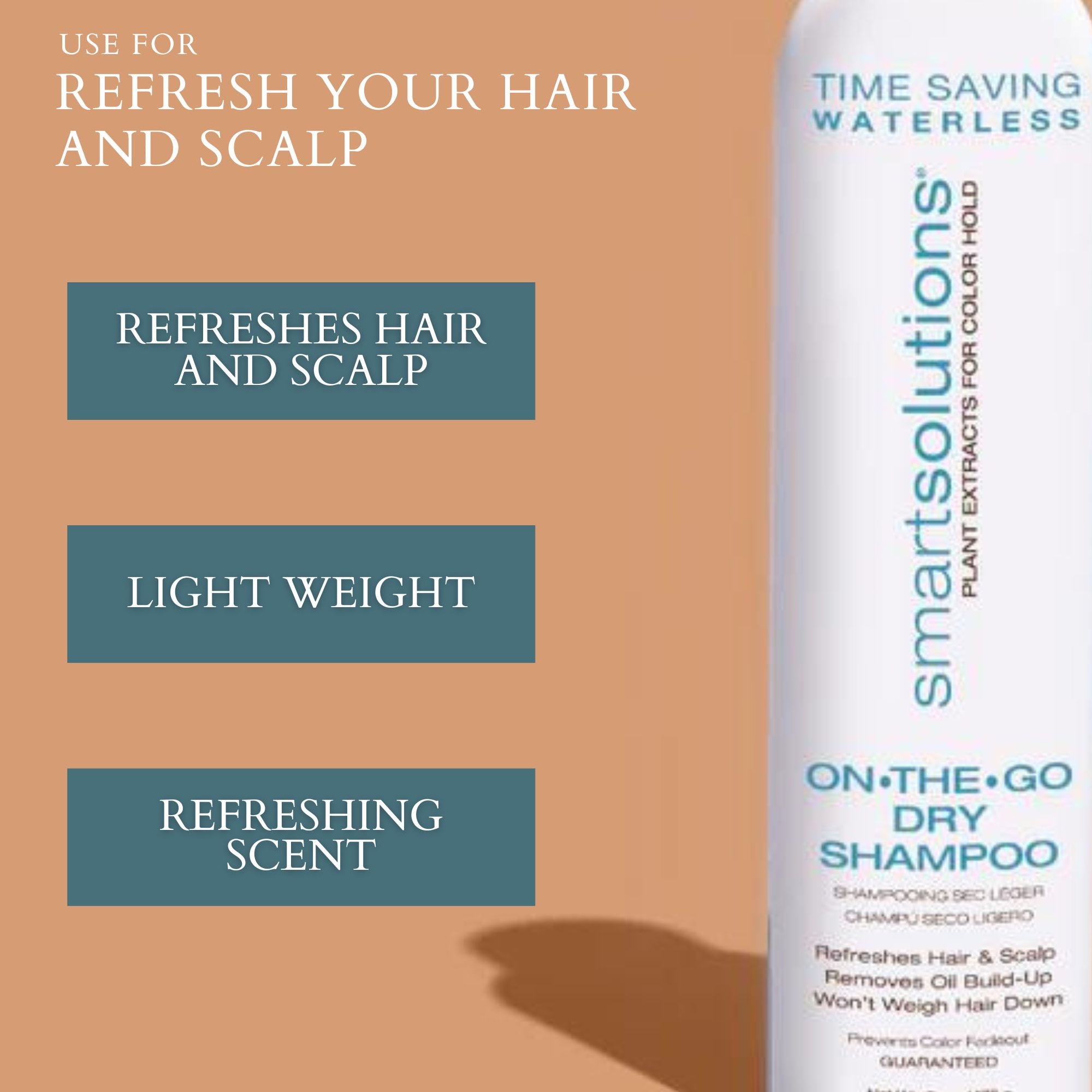 On The Go Dry Shampoo - Dennis Bernard Professional