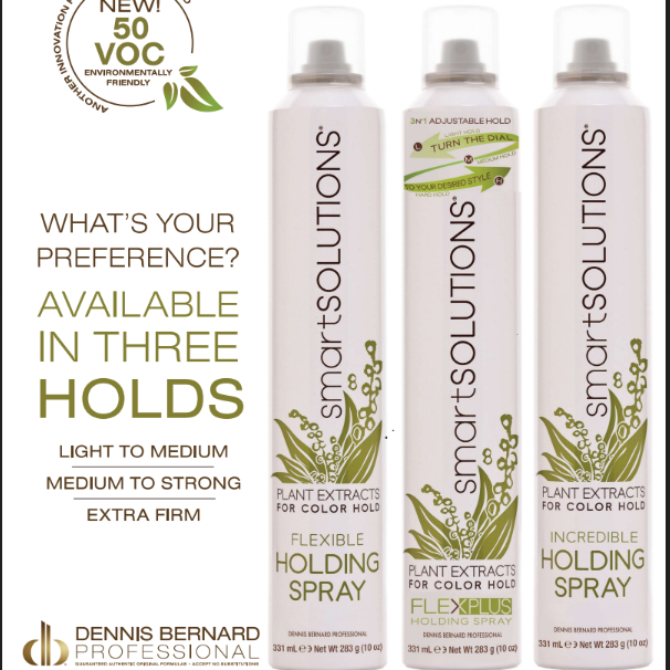 Flex Plus Holding Spray - Dennis Bernard Professional
