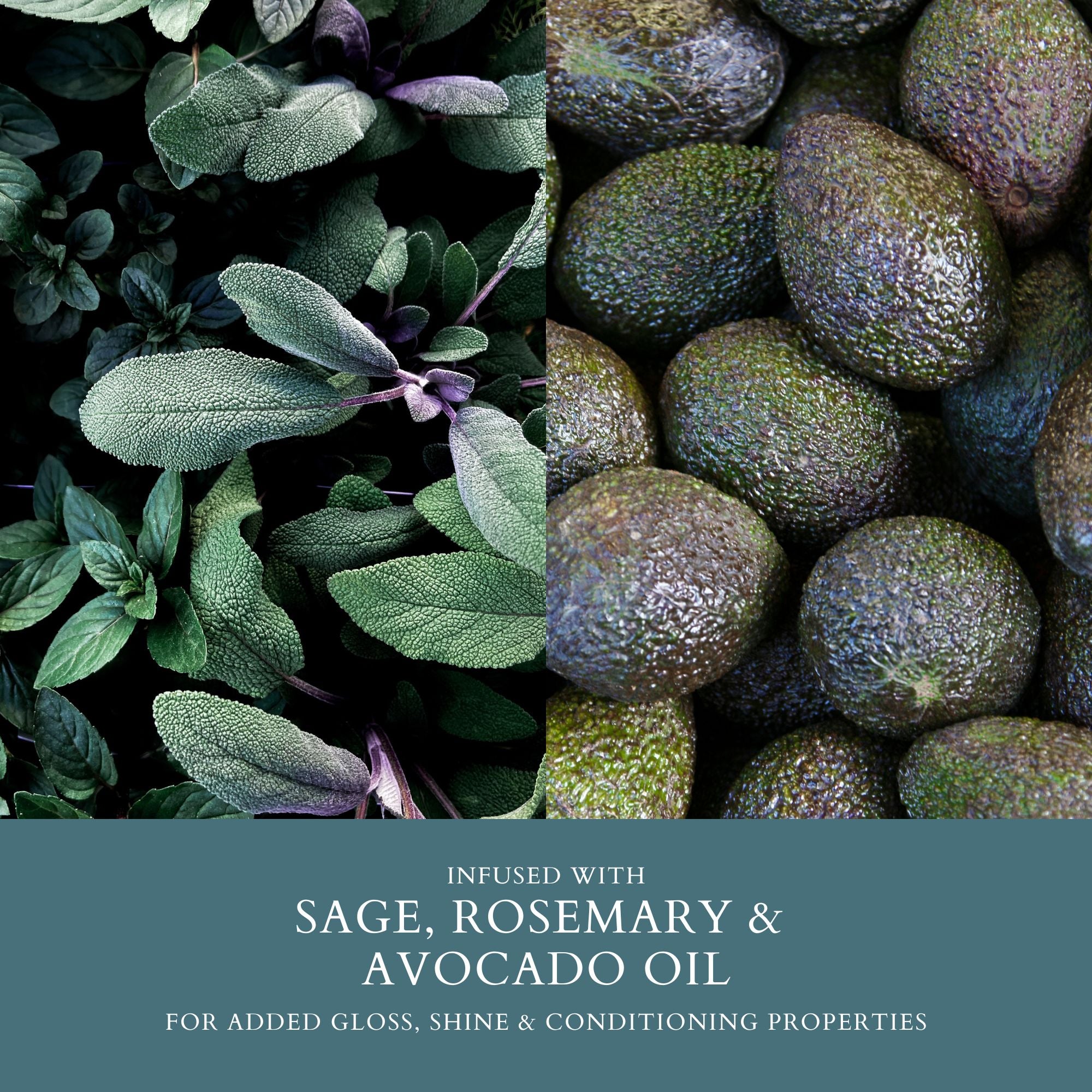 Dual-Action Creme Shampoo - Dennis Bernard Professional