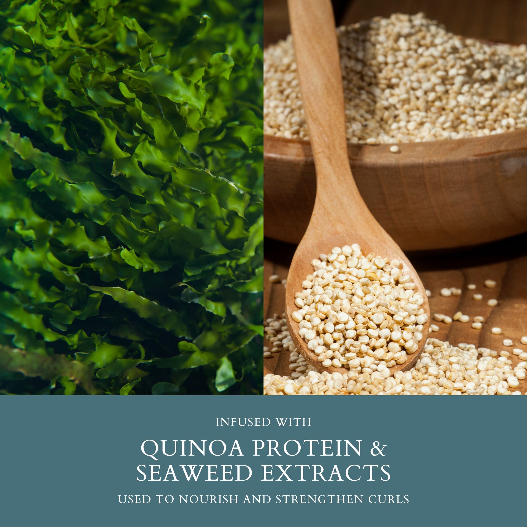 Curl Nourishing Shampoo - Dennis Bernard Professional