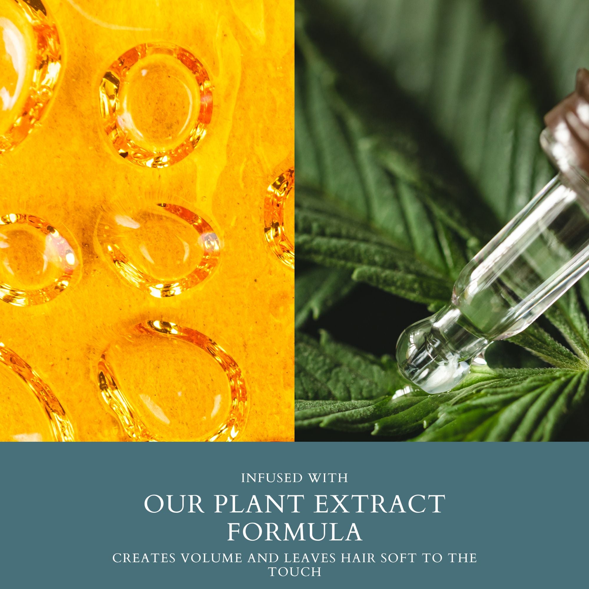 On The Go Dry Shampoo - Dennis Bernard Professional