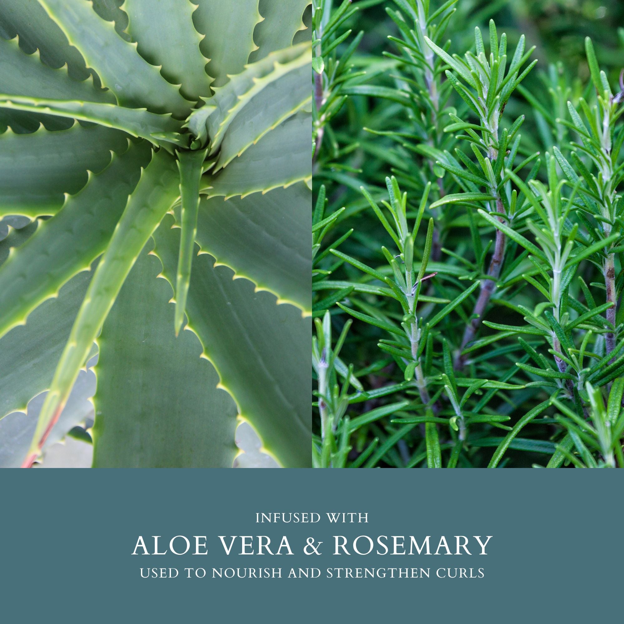 Clarifying Demineralizing Shampoo - Dennis Bernard Professional