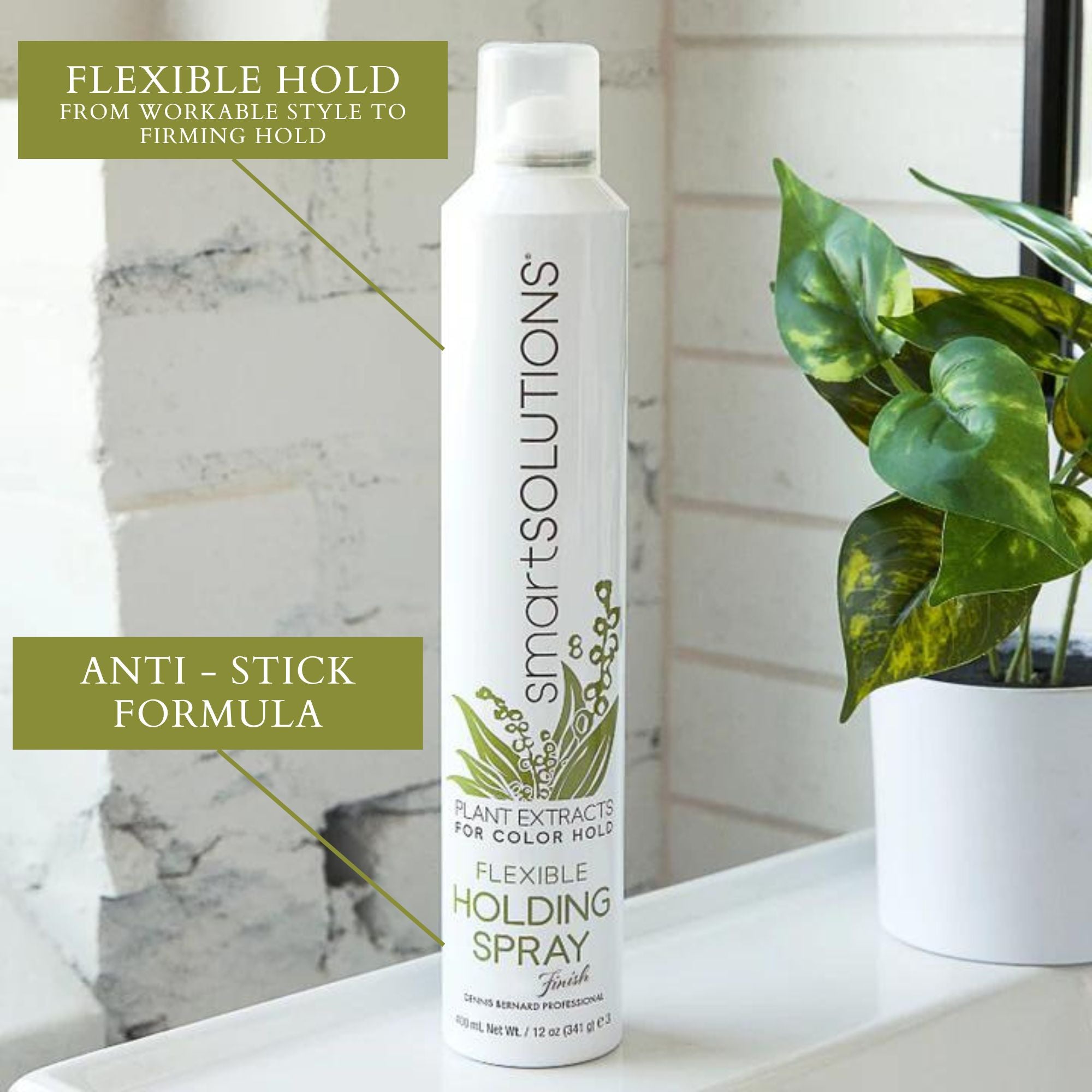 Flexible Holding Spray | Light To Medium Hold - Dennis Bernard Professional