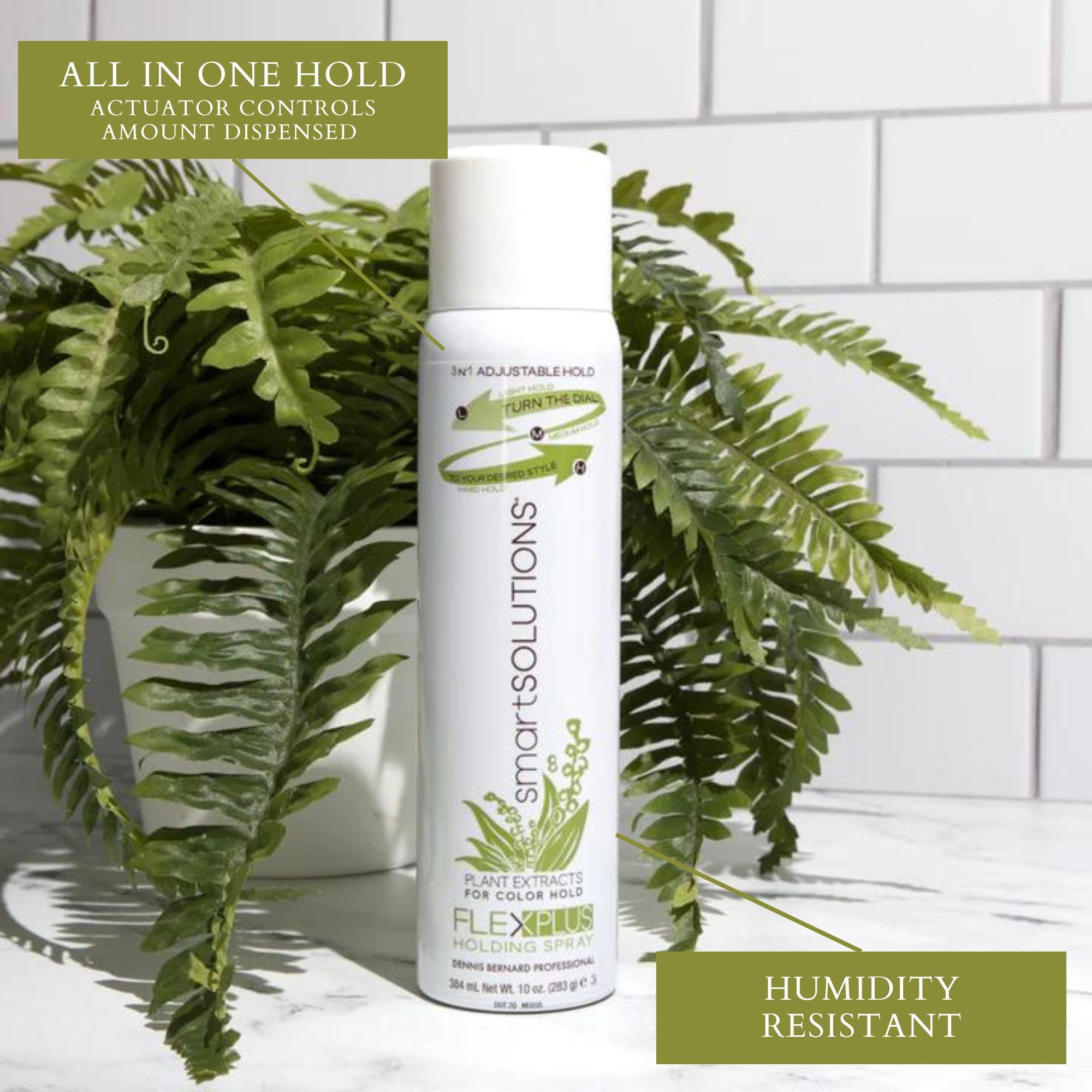 Flex Plus Holding Spray - Dennis Bernard Professional
