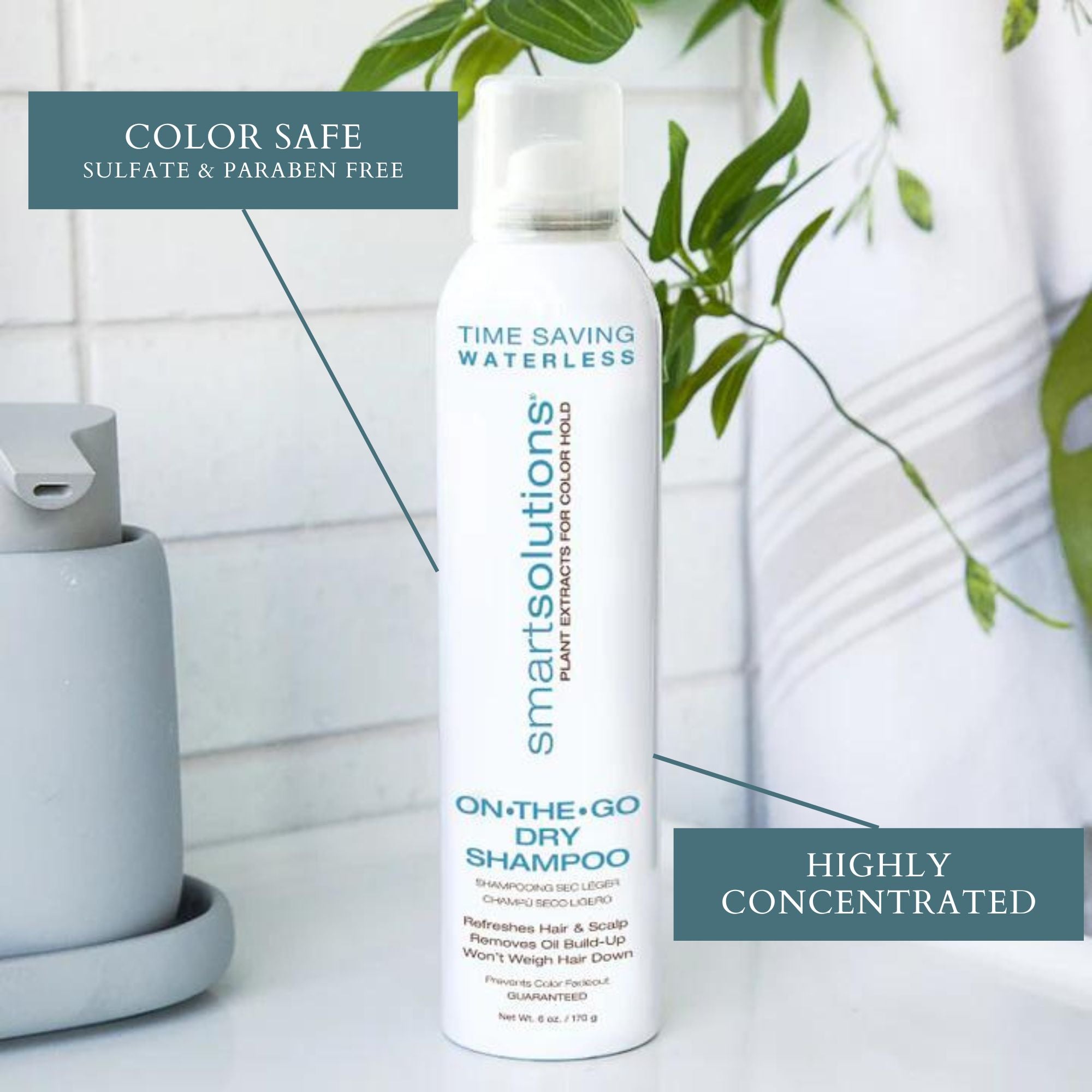 On The Go Dry Shampoo - Dennis Bernard Professional