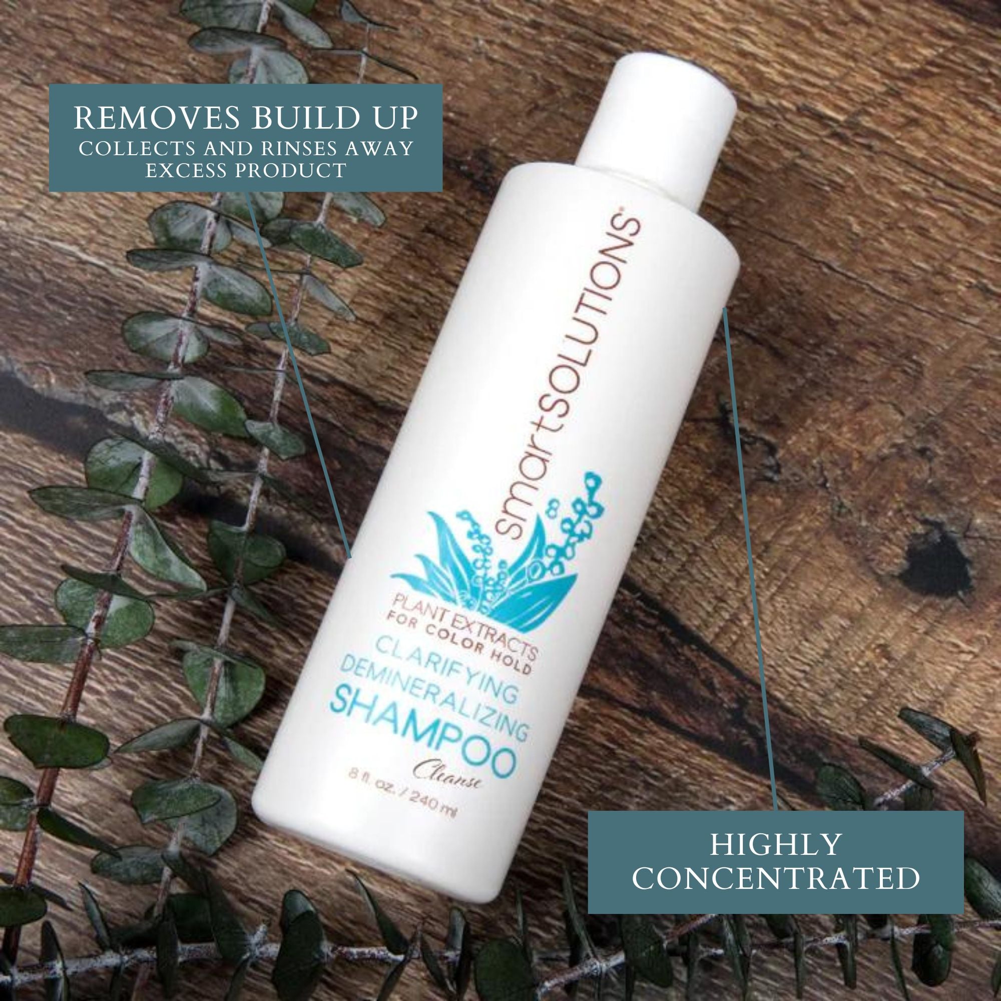 Clarifying Demineralizing Shampoo - Dennis Bernard Professional