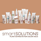 Thermal Smoothing Shine Spray - Dennis Bernard Professional