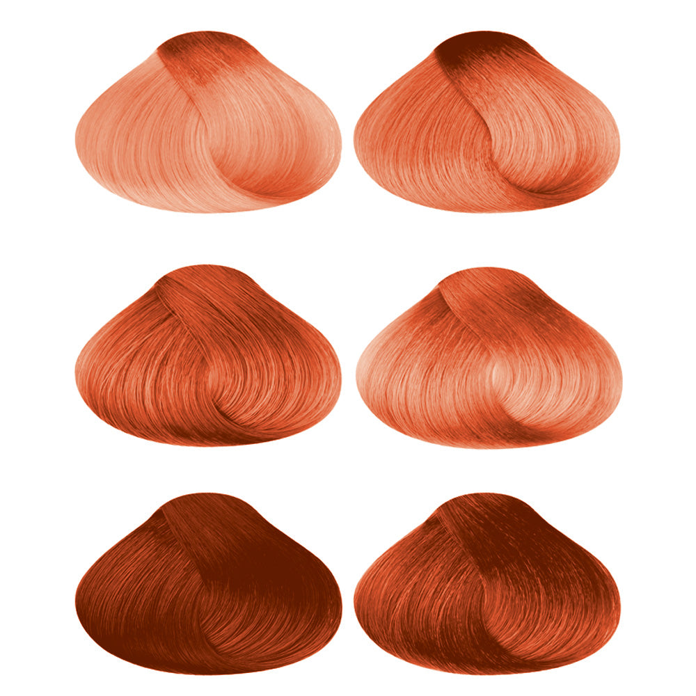 my color in SHAMPOO METALLIC COPPER - Dennis Bernard Professional