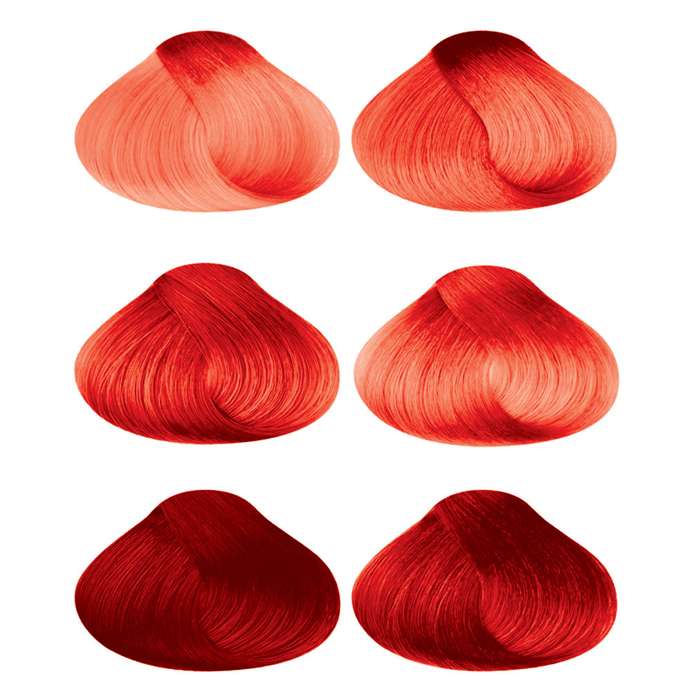 my color in SHAMPOO VIBRANT RED - Dennis Bernard Professional