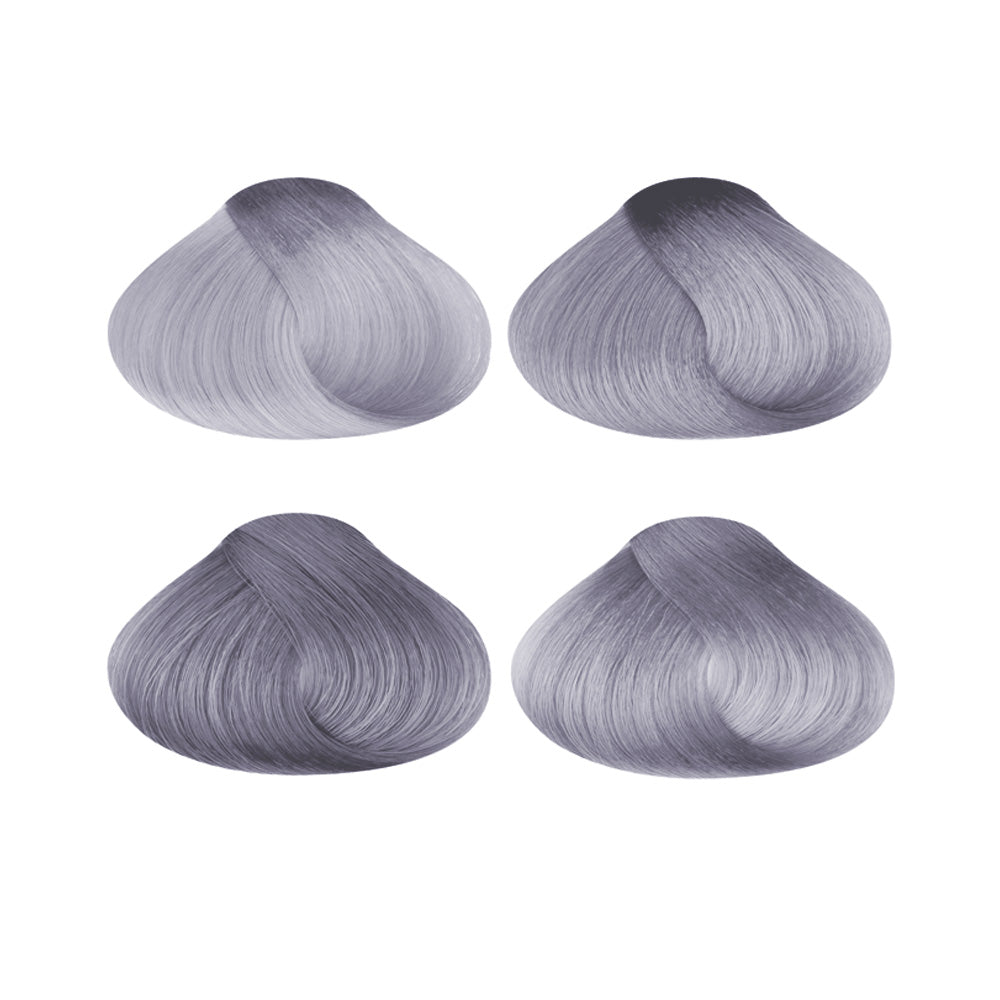 my color in SHAMPOO METALLIC SILVER - Dennis Bernard Professional