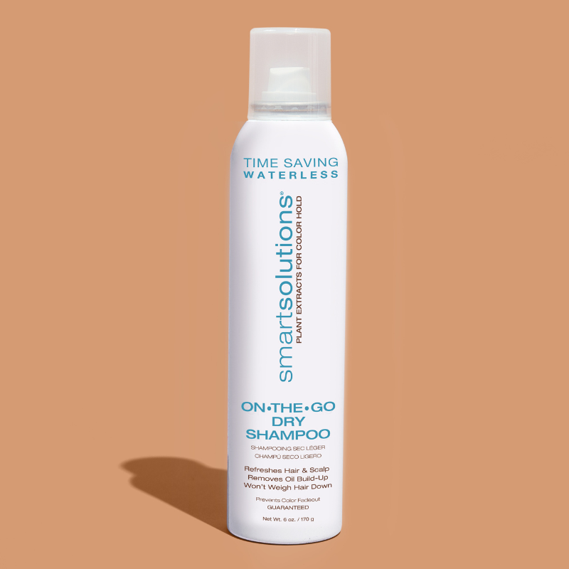 On The Go Dry Shampoo - Dennis Bernard Professional