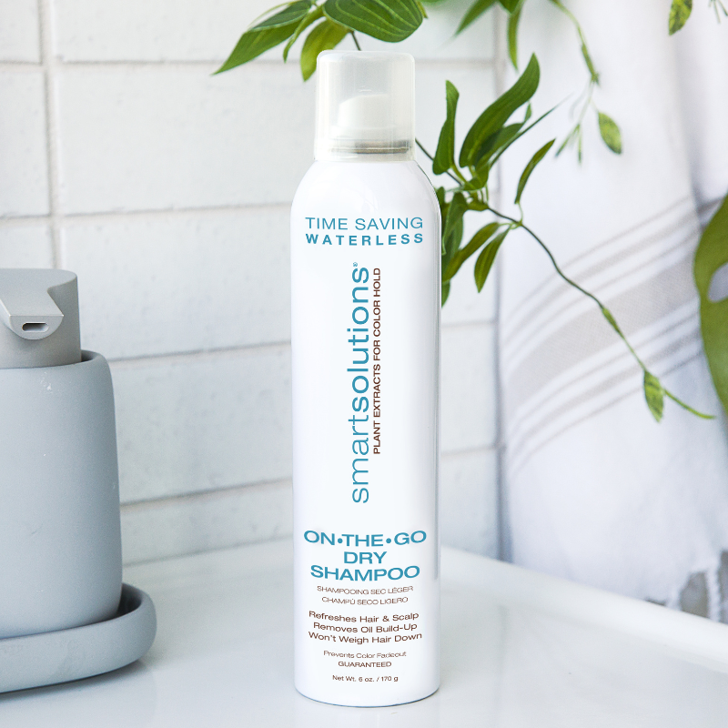 On The Go Dry Shampoo - Dennis Bernard Professional